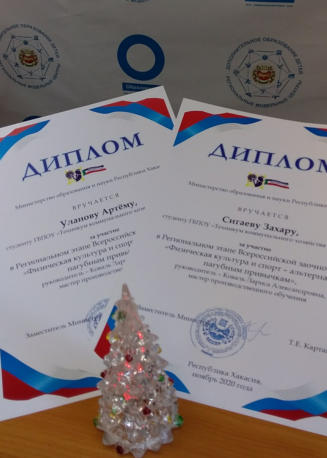 ГБУ ДО РХ «Республиканский центр дополнительного образования» подвел итоги регионального этапа Всероссийской заочной акции «Физическая культура и спорт – альтернатива пагубным привычкам»