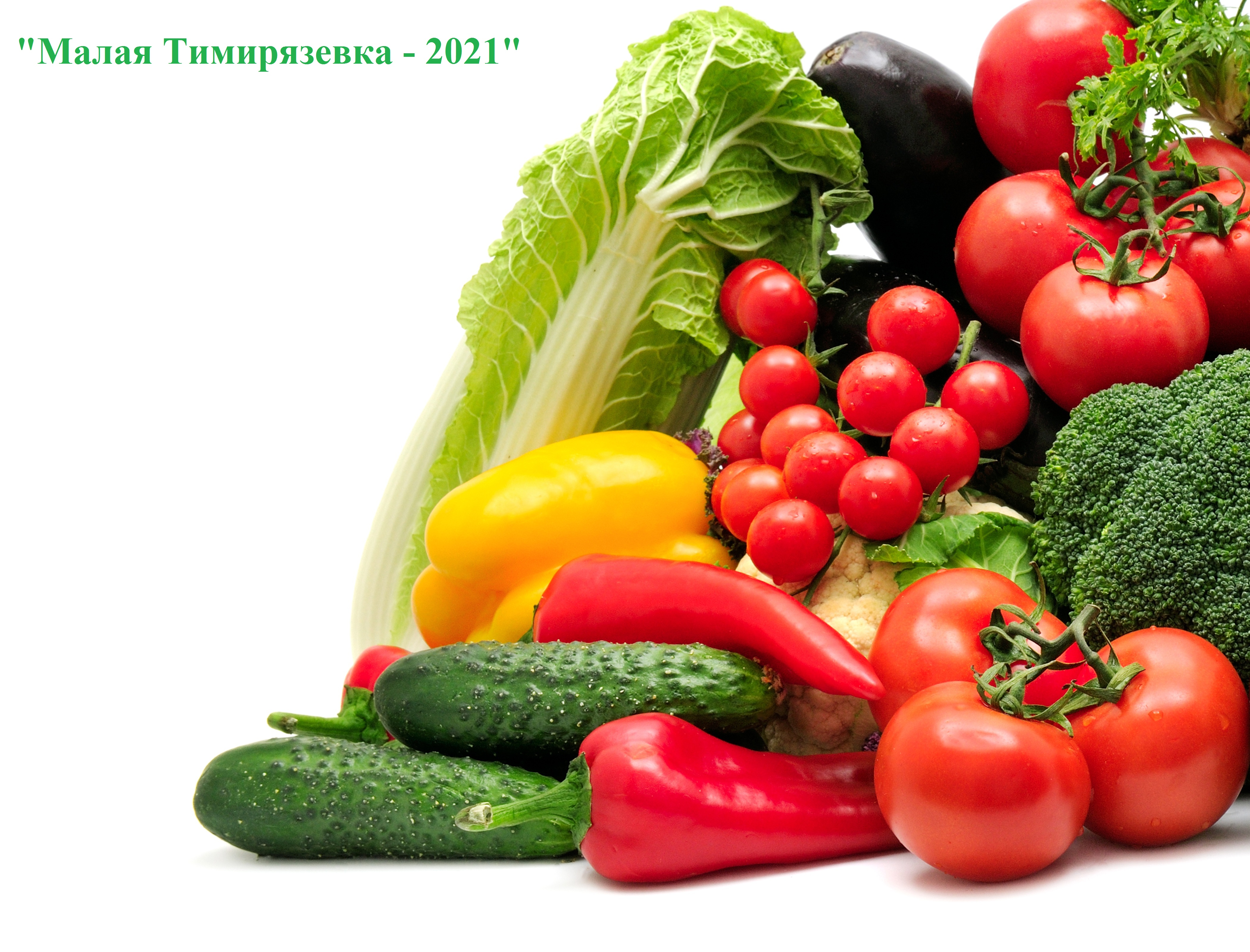 Подведены итоги регионального этапа Всероссийских конкурсов, которые проводились в рамках сетевого проекта 