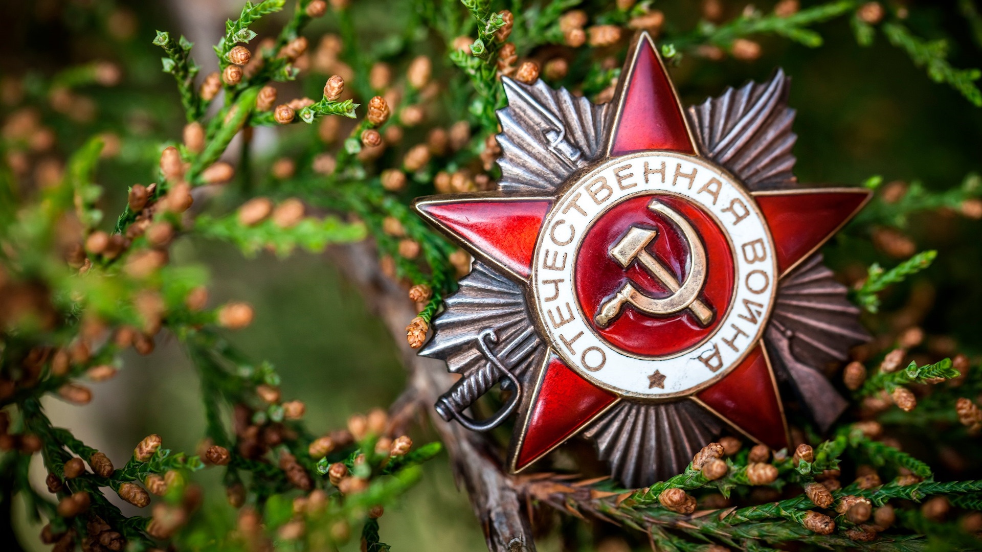 Стартовал республиканский конкурс школьных музеев  «Мы помним! Мы гордимся!» 