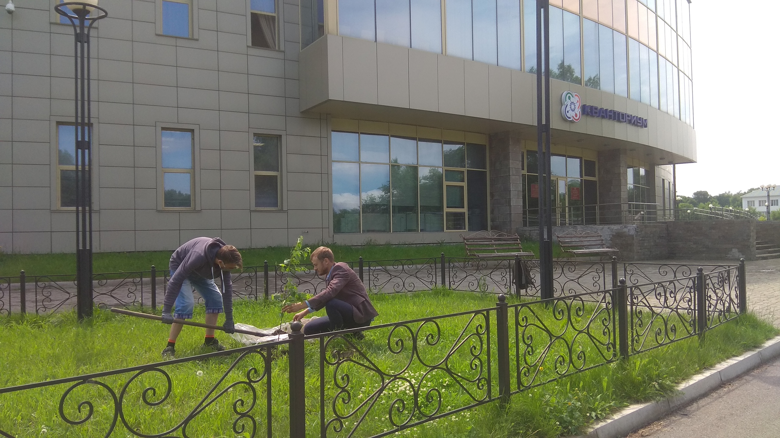 У здания детского технопарка «Кванториум «Хакасия» появилось первое дерево «Сада памяти»